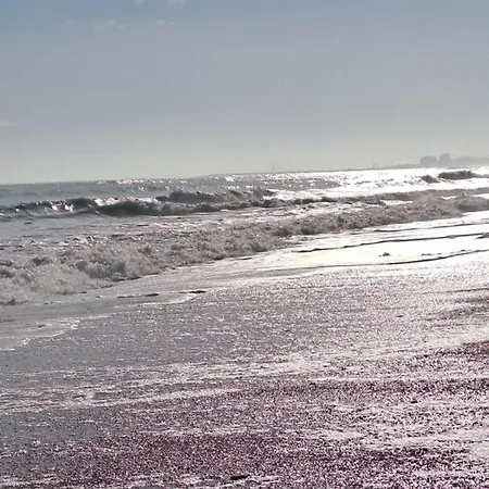 Virgolazero1 * Porto Potenza Picena